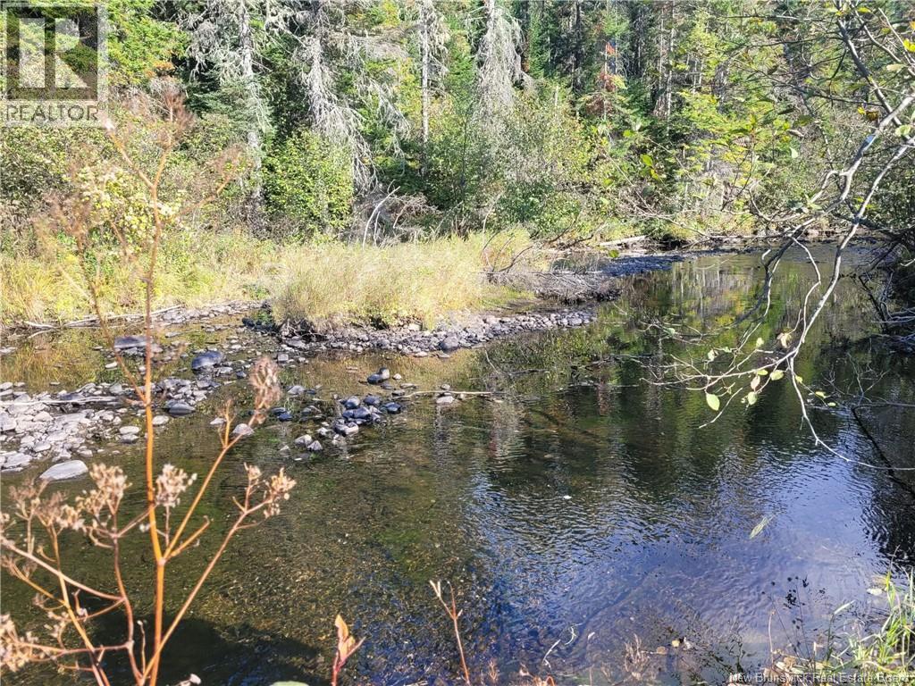 400 Bellefond Road, Bellefond, New Brunswick  E1V 4T6 - Photo 40 - NB129404