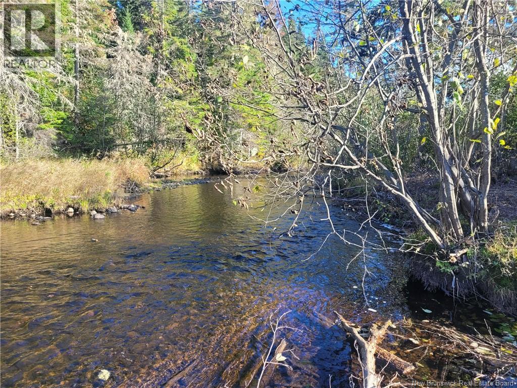 400 Bellefond Road, Bellefond, New Brunswick  E1V 4T6 - Photo 39 - NB129404