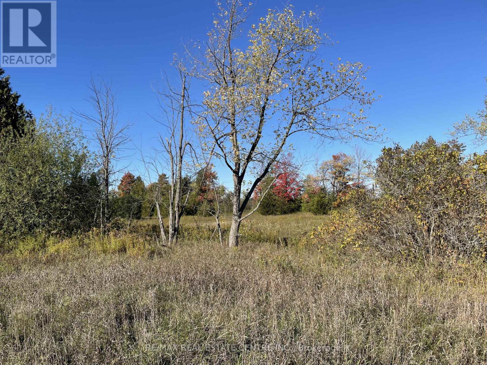 13062 Nassagaweya Esquesi Townline, Milton, Ontario  L7J 2W8 - Photo 7 - W12491412