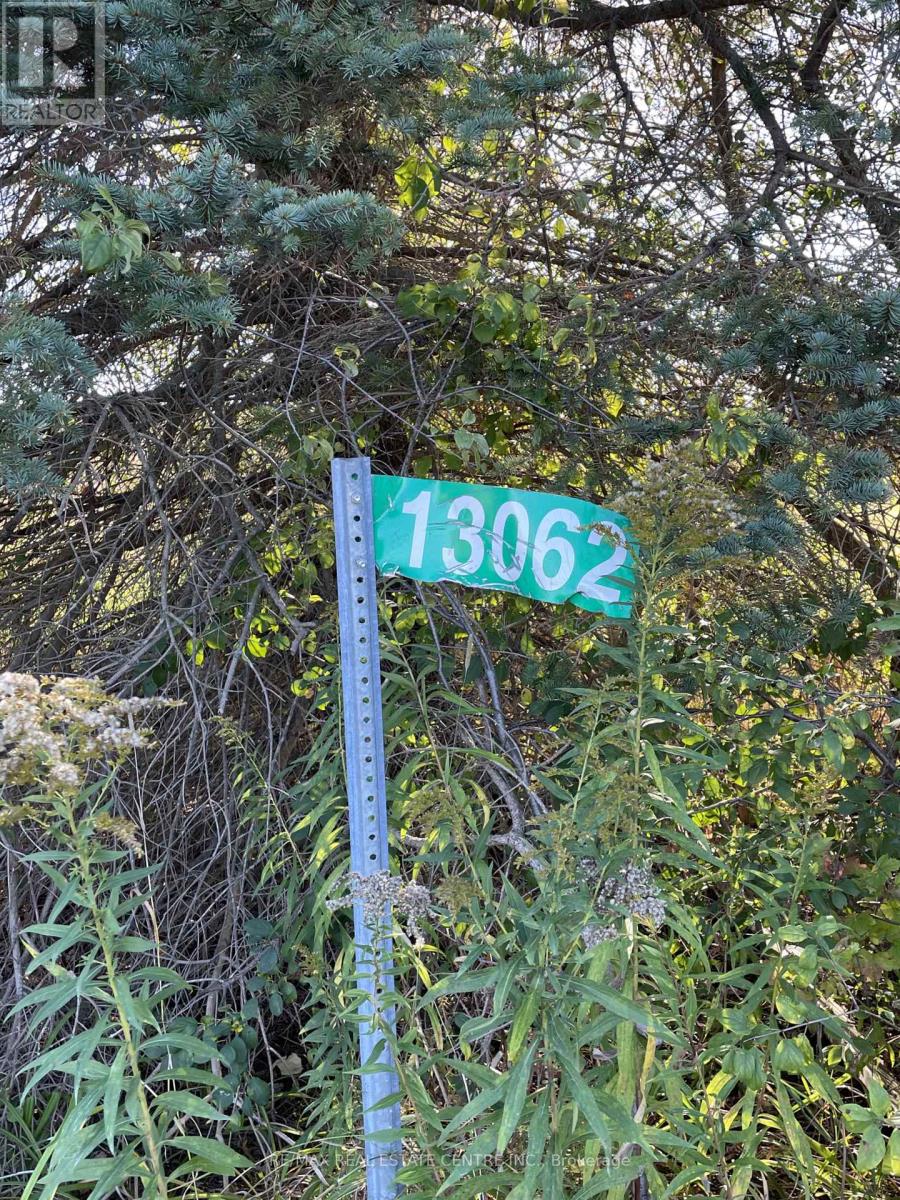 13062 Nassagaweya Esquesi Townline, Milton, Ontario  L7J 2W8 - Photo 8 - W12491412