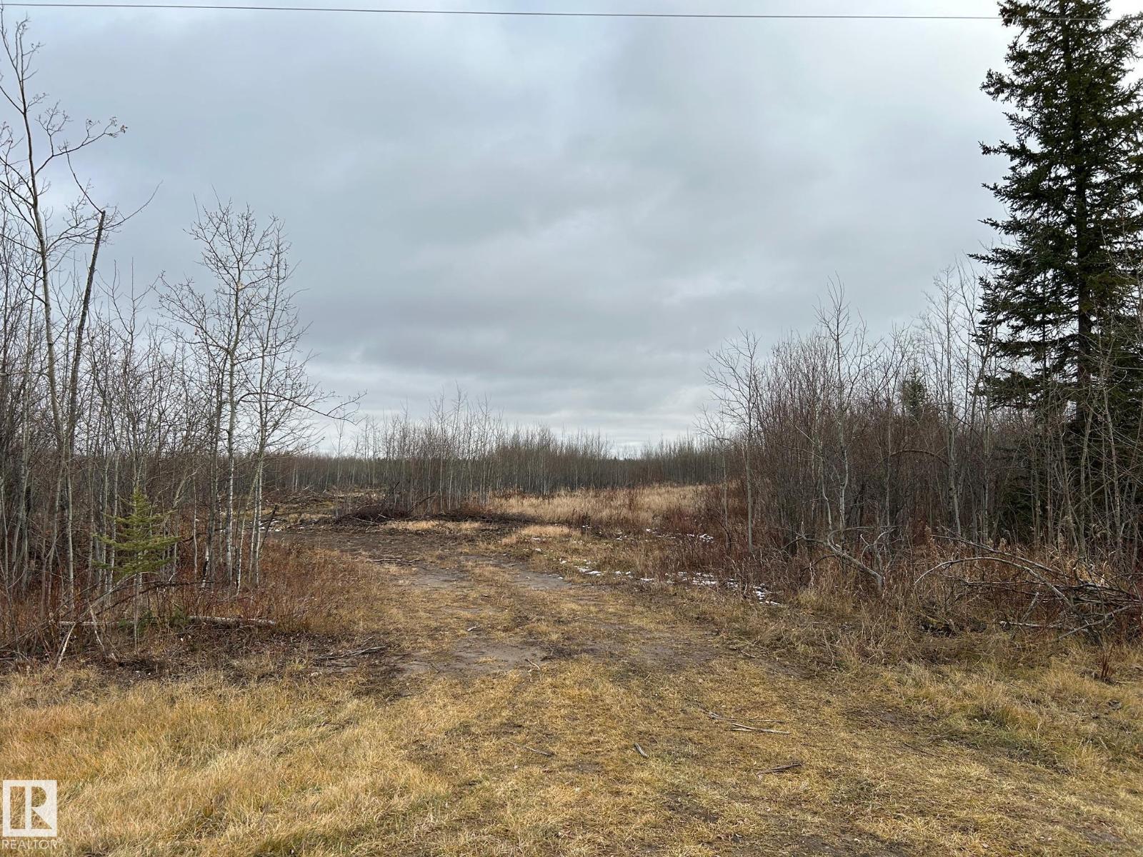 Rr 210 Twp Rd 605, Rural Thorhild County, Alberta  T0A 0A0 - Photo 3 - E4464134