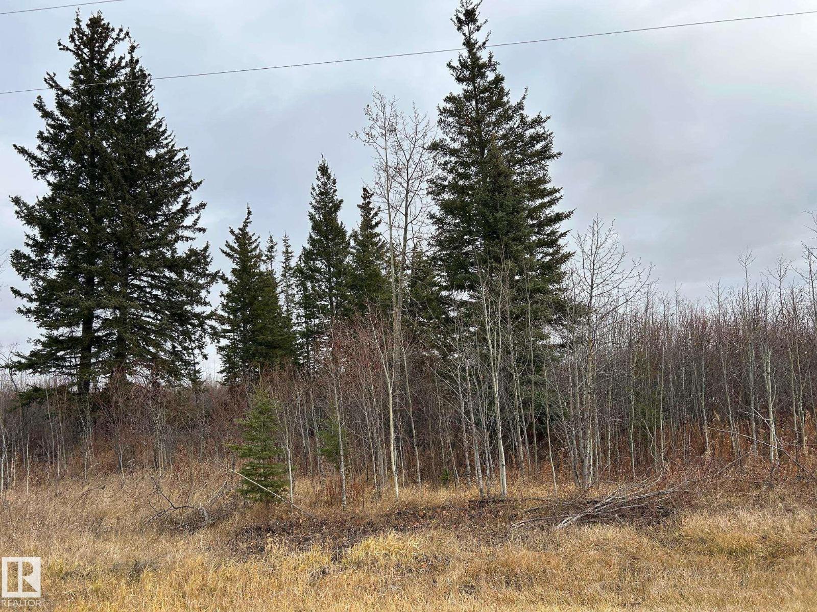 Rr 210 Twp Rd 605, Rural Thorhild County, Alberta  T0A 0A0 - Photo 4 - E4464134
