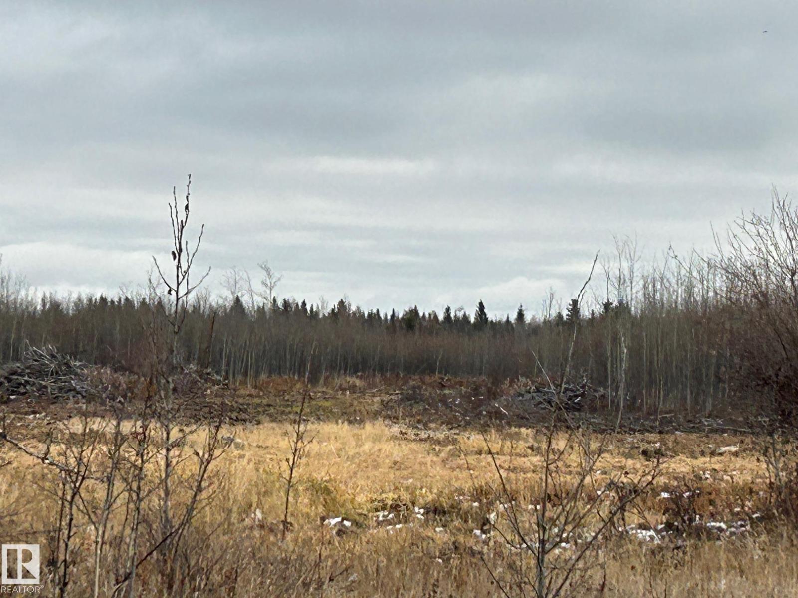 Rr 210 Twp Rd 605, Rural Thorhild County, Alberta  T0A 0A0 - Photo 5 - E4464134