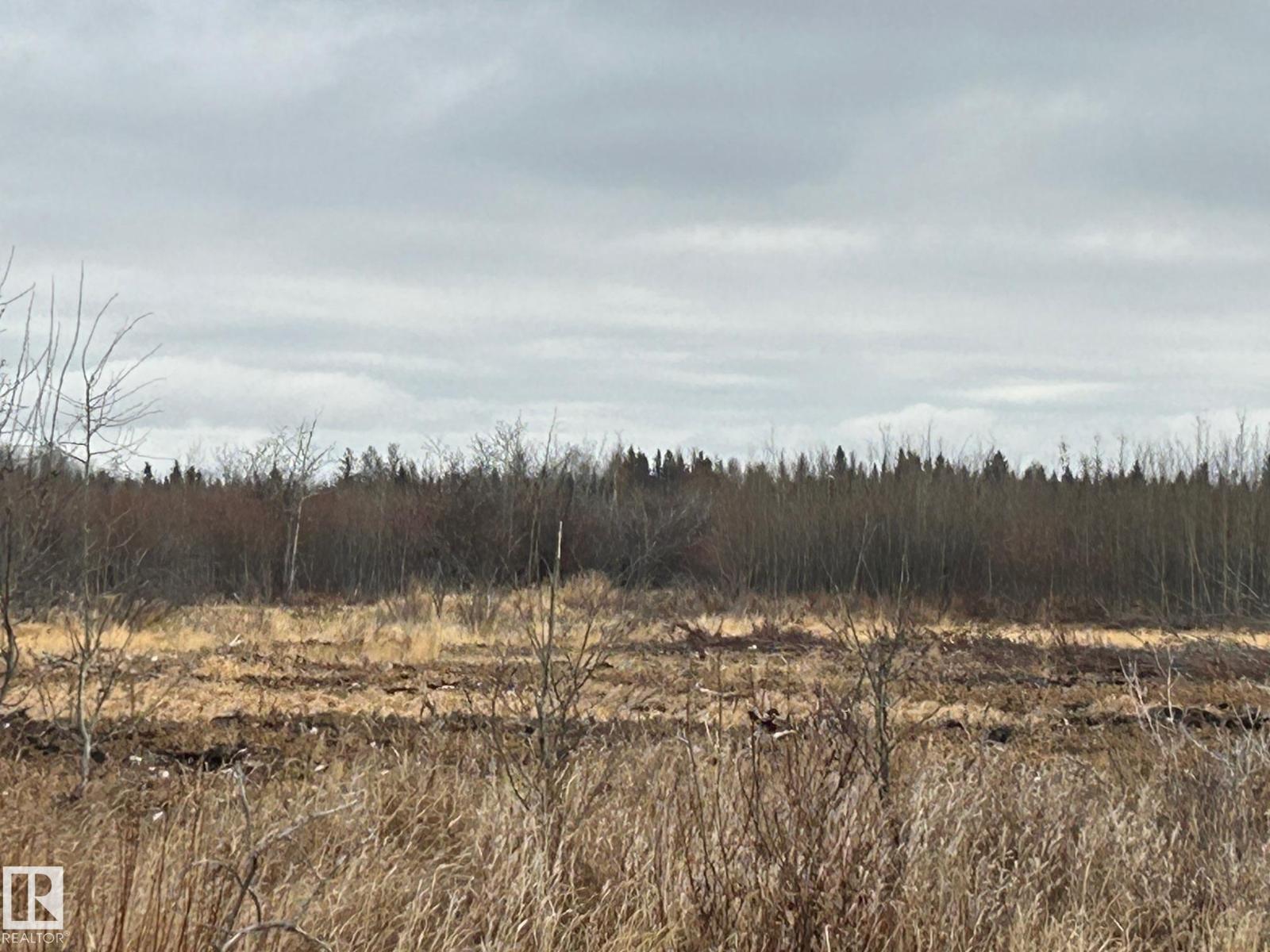 Rr 210 Twp Rd 605, Rural Thorhild County, Alberta  T0A 0A0 - Photo 6 - E4464134
