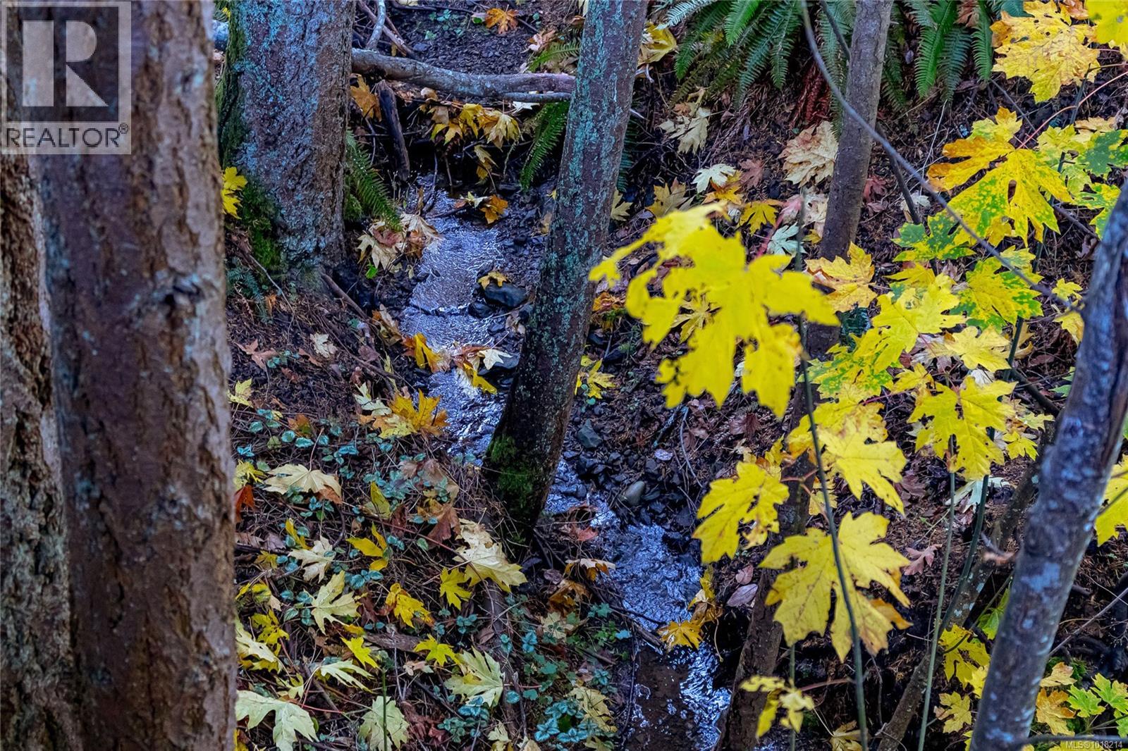 1364 Kingsview Rd, Duncan, British Columbia  V9L 5P1 - Photo 37 - 1018214