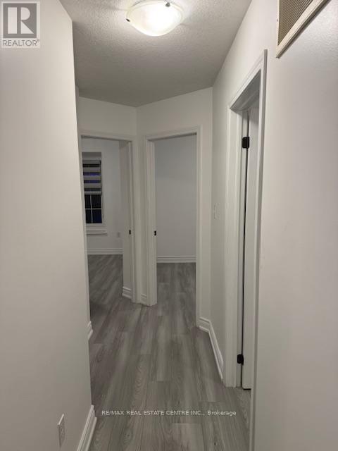 56 Cleghorn Drive, Hamilton, Ontario  L0R 1C0 - Photo 29 - X12493620