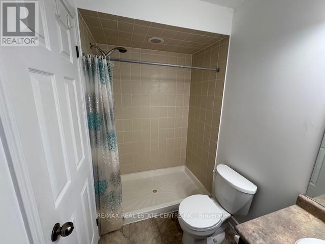 56 Cleghorn Drive, Hamilton, Ontario  L0R 1C0 - Photo 20 - X12493620