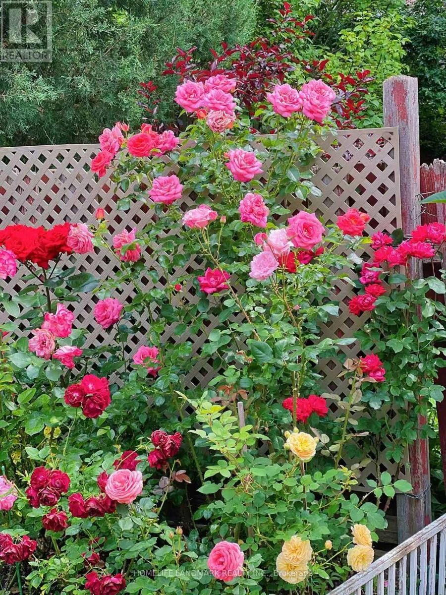 40 Belinda Square, Toronto, Ontario  M1W 3M2 - Photo 31 - E12494438