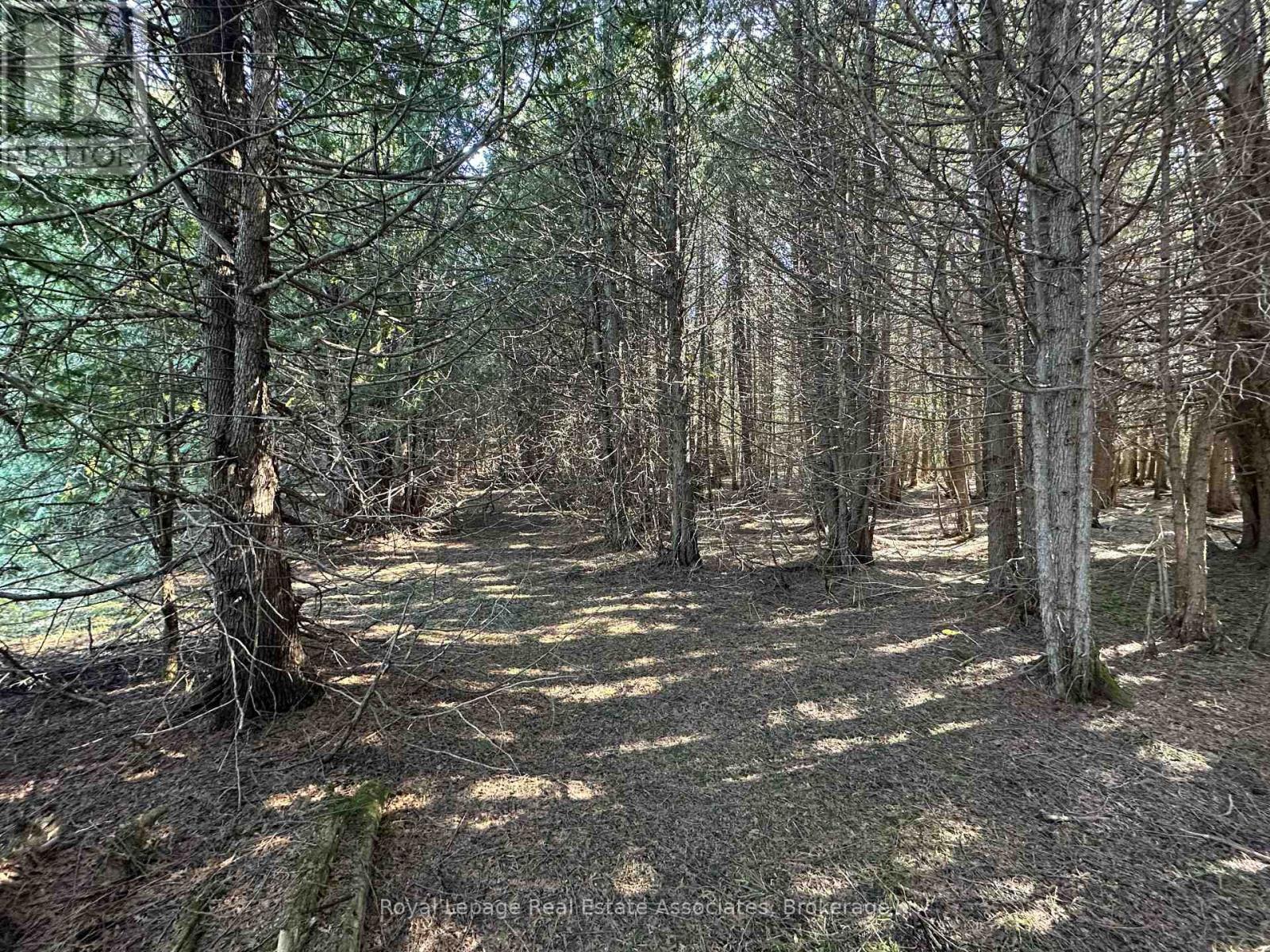 Lt 42 Con 2 Netsr, Chatsworth, Ontario  N0H 1C0 - Photo 5 - X12494384