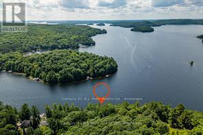 1033 Bayview Point Road, Lake Of Bays, Ontario  P0A 1H0 - Photo 46 - X12494562