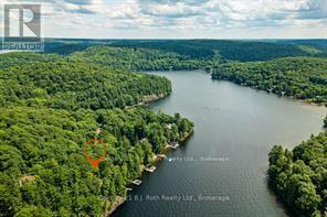 1033 Bayview Point Road, Lake Of Bays, Ontario  P0A 1H0 - Photo 47 - X12494562