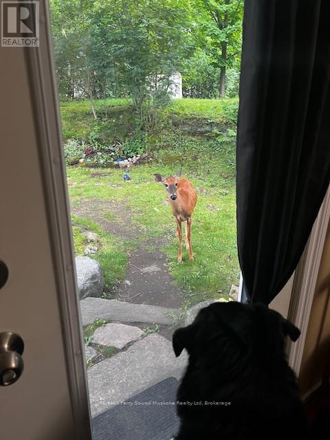 17 Adelaide Street, Parry Sound, Ontario  P2A 1H2 - Photo 31 - X12494584