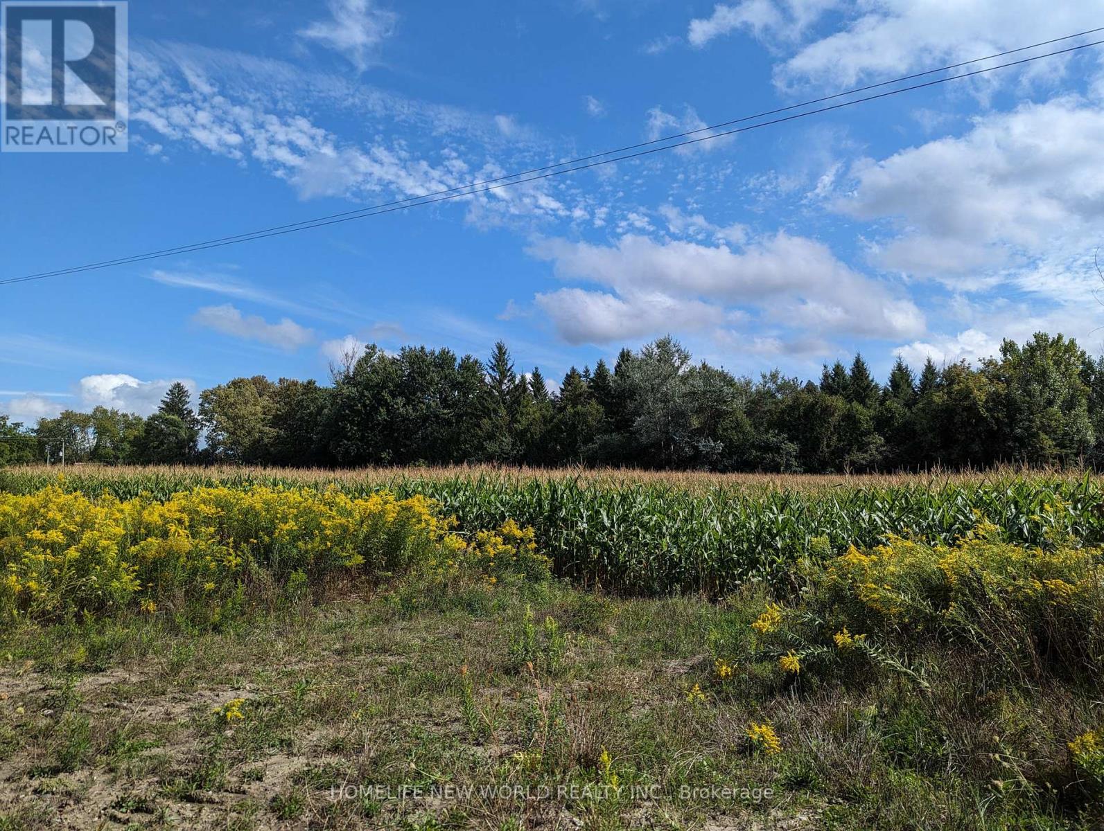 17268 Warden Avenue, Whitchurch-Stouffville, Ontario  L3Y 4W1 - Photo 2 - N12494516
