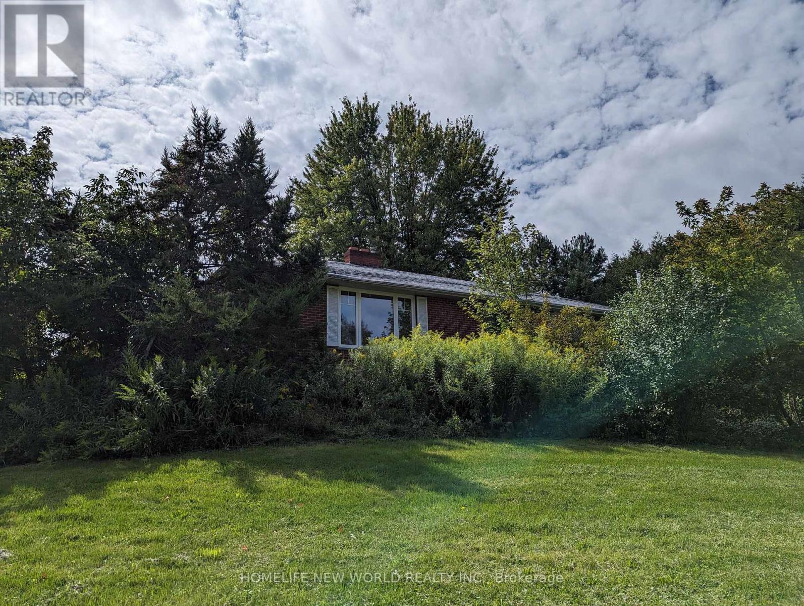 17268 Warden Avenue, Whitchurch-Stouffville, Ontario  L3Y 4W1 - Photo 4 - N12494516