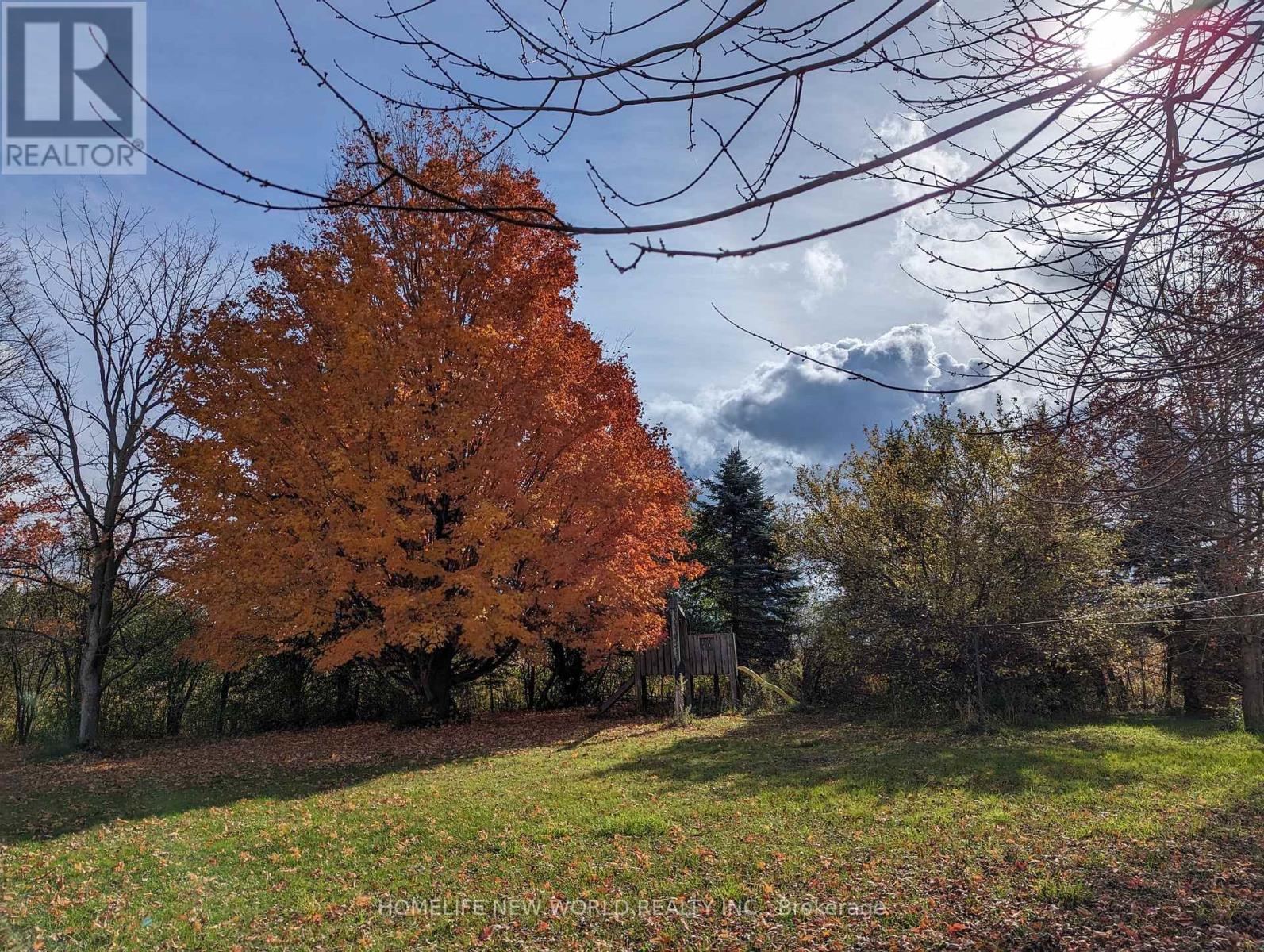 17268 Warden Avenue, Whitchurch-Stouffville, Ontario  L3Y 4W1 - Photo 7 - N12494516