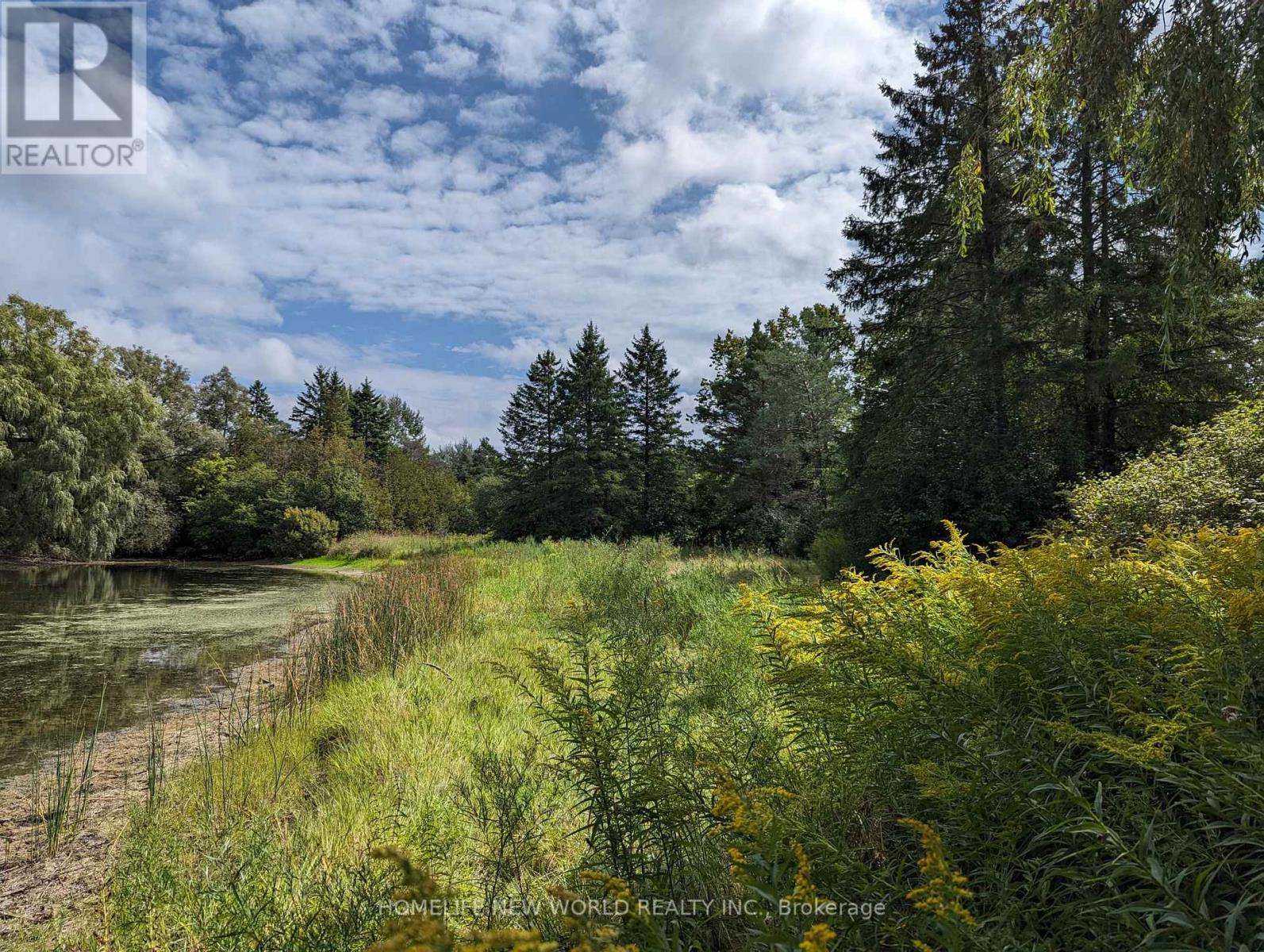 17268 Warden Avenue, Whitchurch-Stouffville, Ontario  L3Y 4W1 - Photo 8 - N12494516