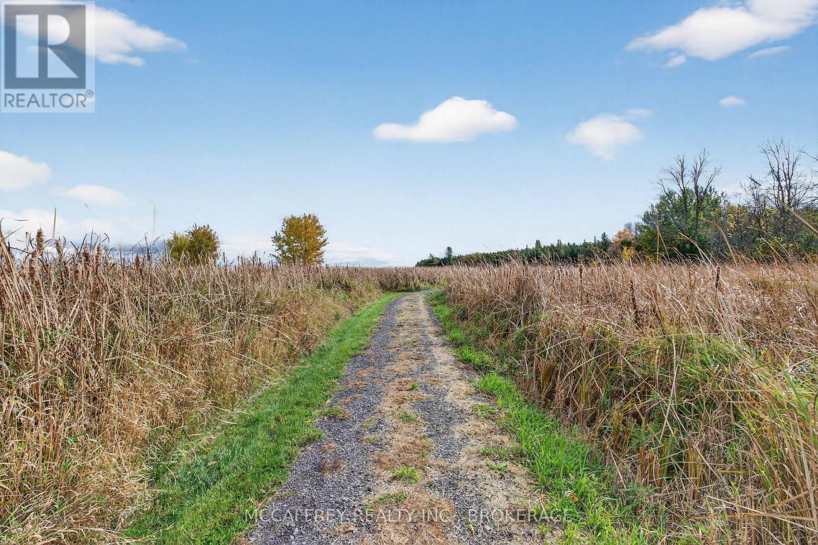 6019 County Road 9, Greater Napanee, Ontario  K7R 3K8 - Photo 49 - X12494592