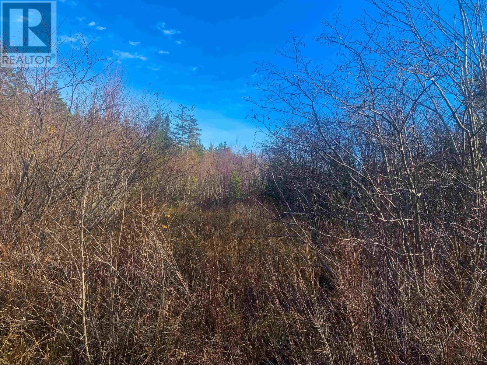Lot C. Boudreau Road, Mavillette, Nova Scotia  B0W 2H0 - Photo 6 - 202421271