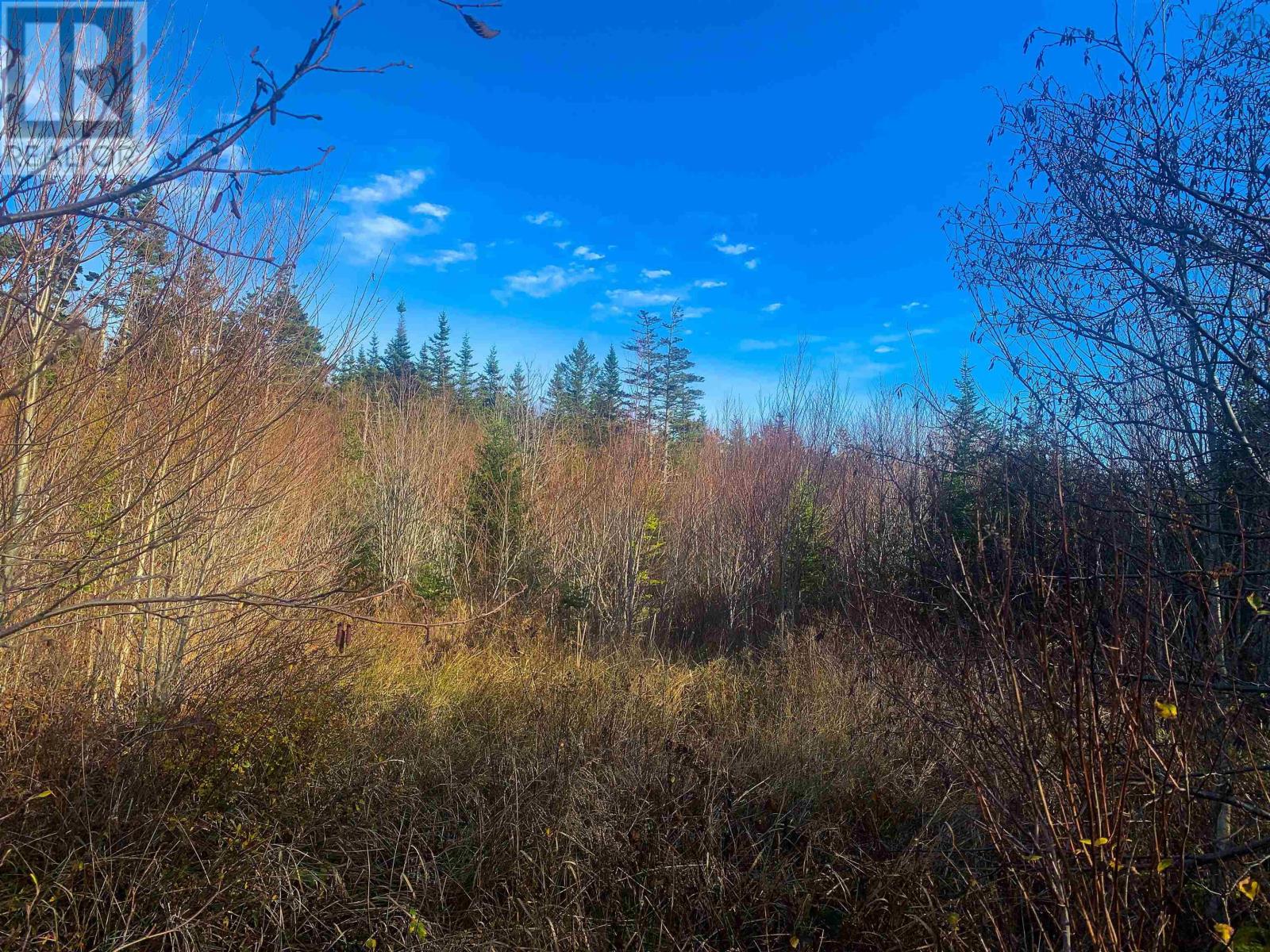 Lot C. Boudreau Road, Mavillette, Nova Scotia  B0W 2H0 - Photo 7 - 202421271