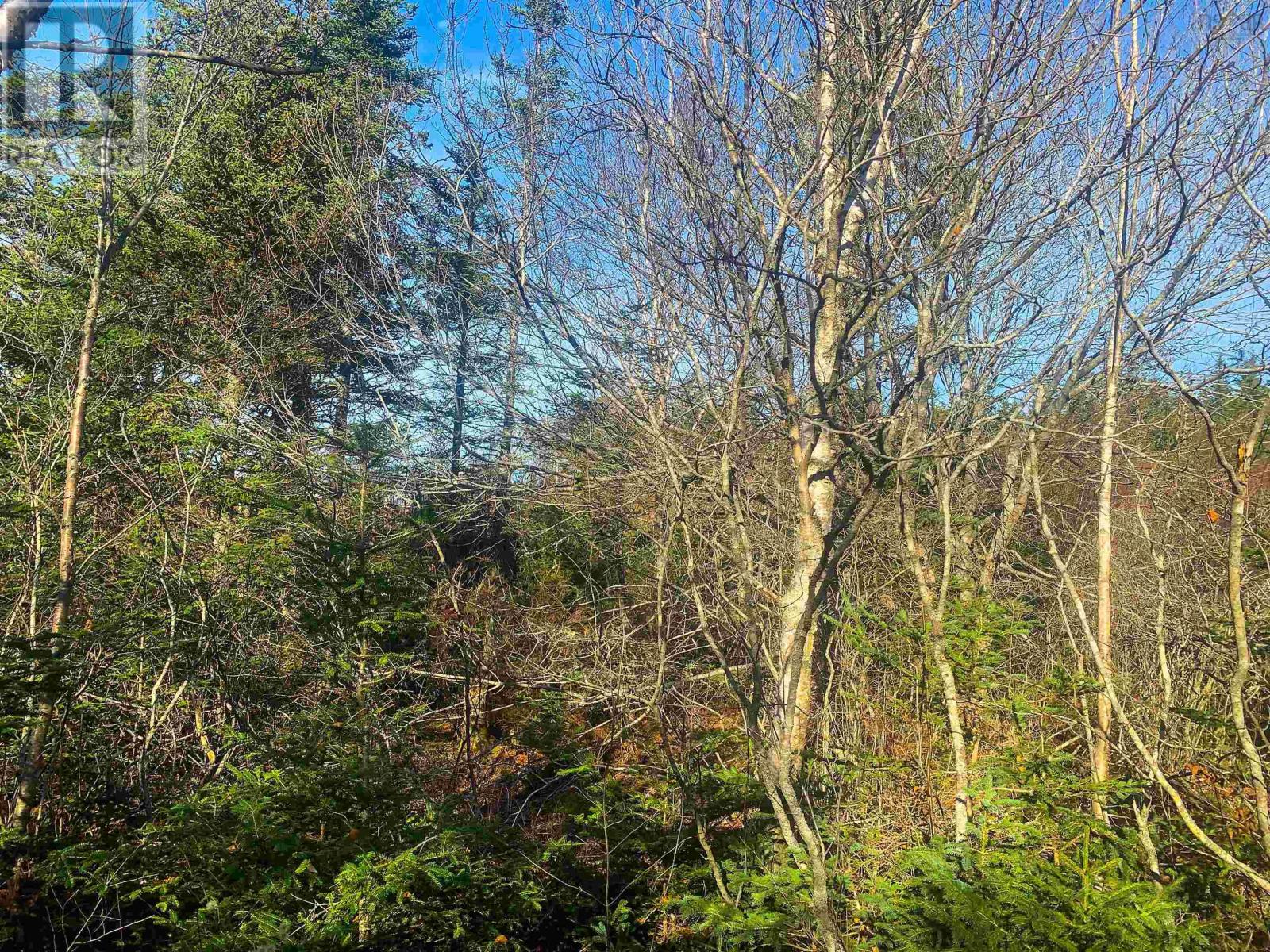 Lot C. Boudreau Road, Mavillette, Nova Scotia  B0W 2H0 - Photo 5 - 202421271