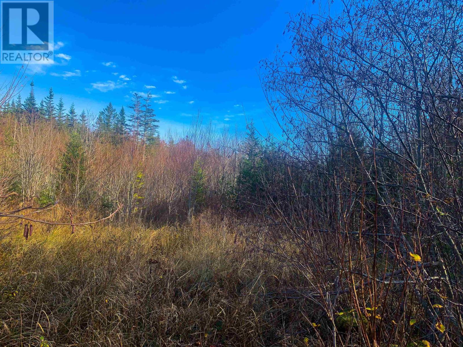 Lot C. Boudreau Road, Mavillette, Nova Scotia  B0W 2H0 - Photo 9 - 202421271