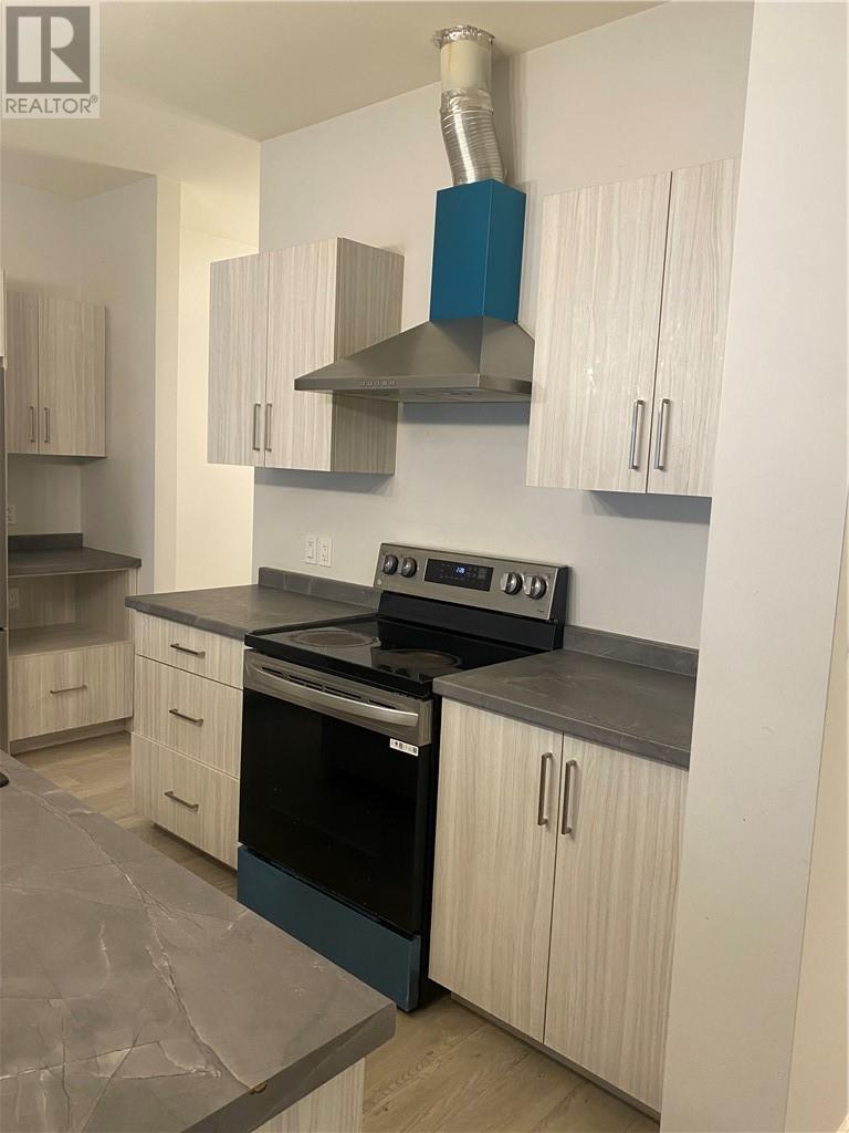 174 Jeanine Street, Sudbury, Ontario P3B 0E8 - Photo 16 - 2125447