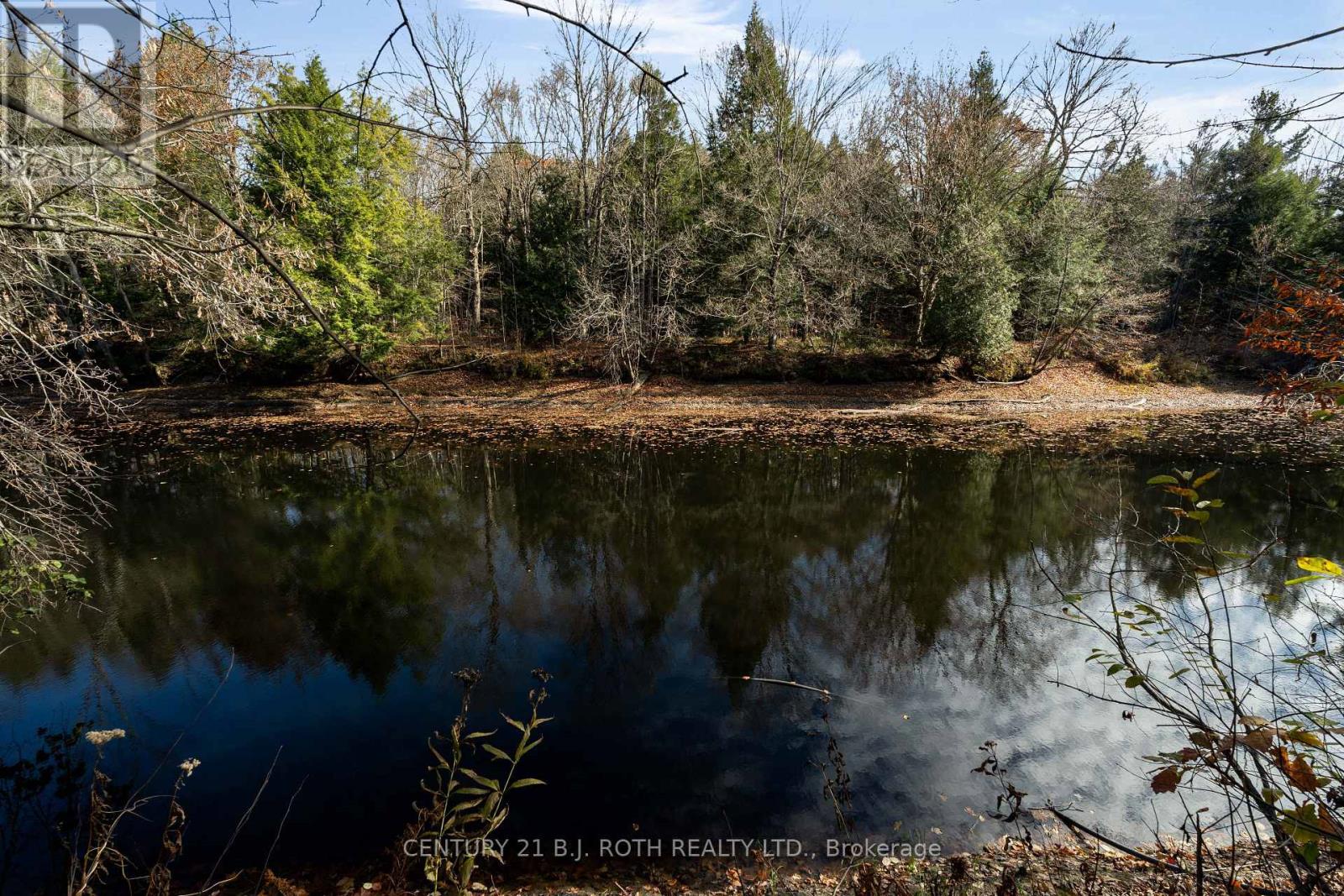 7333 Davy Drive, Ramara, Ontario  L0K 2B0 - Photo 43 - S12493298