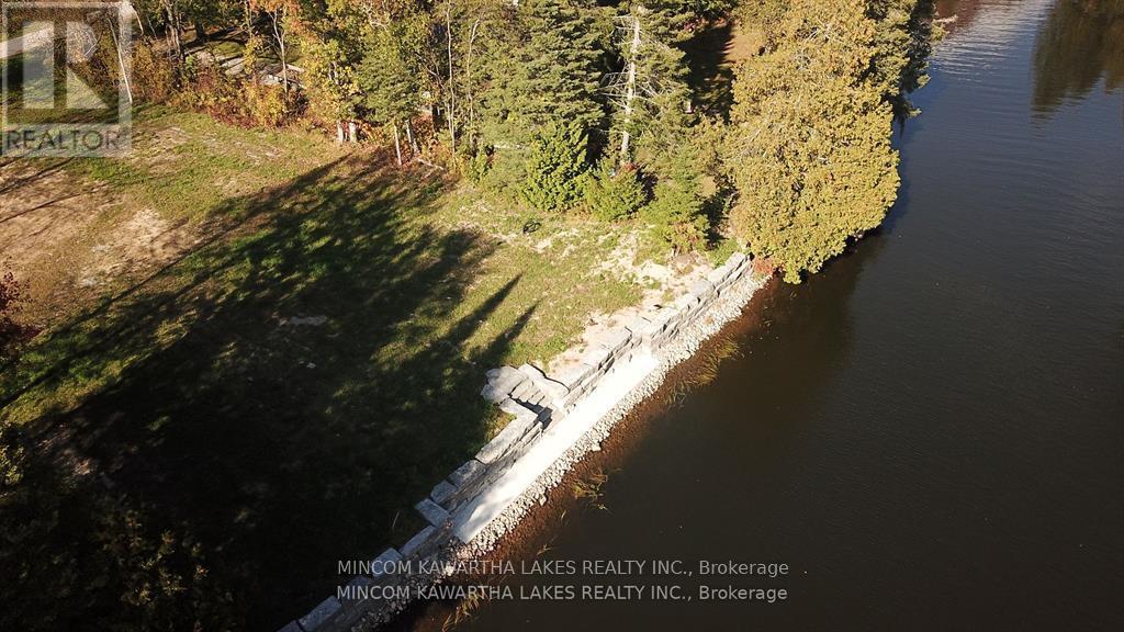 165 Cedarplank Road, Kawartha Lakes (Somerville), Ontario  K0M 1N0 - Photo 4 - X12494800