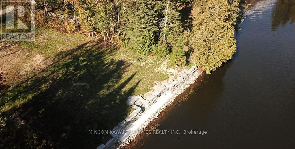 165 Cedarplank Road, Kawartha Lakes (Somerville), Ontario  K0M 1N0 - Photo 5 - X12494800