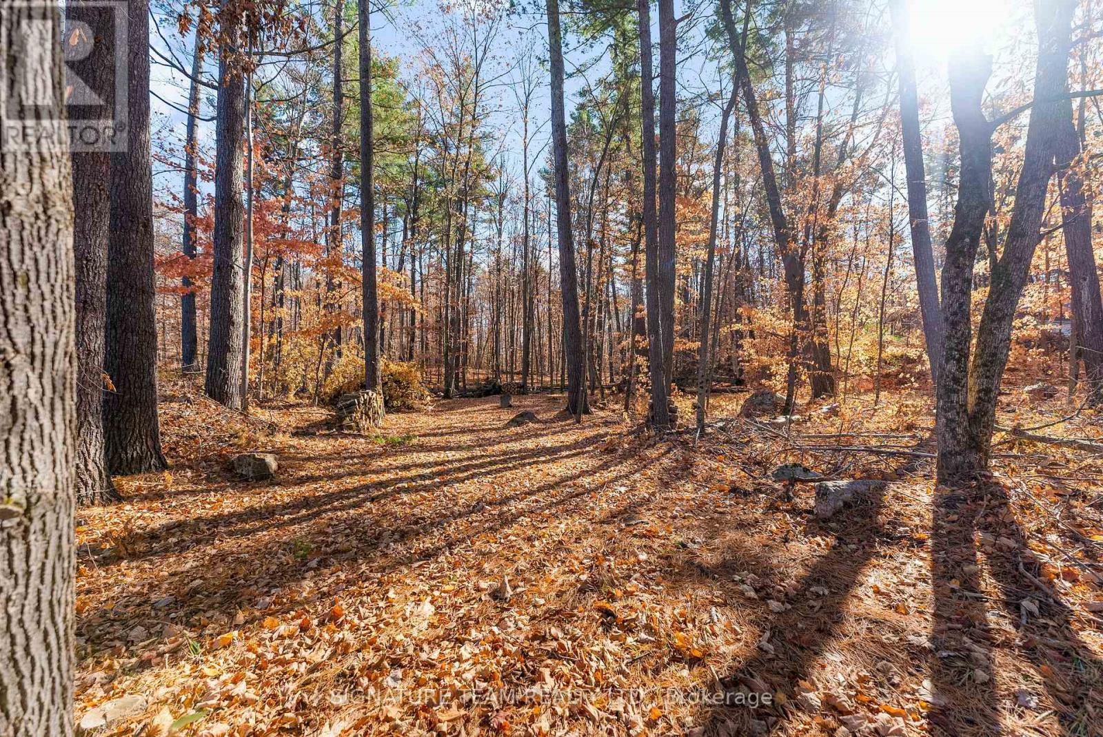 368 Rocky Point Drive, Bonnechere Valley, Ontario  K0J 1X0 - Photo 4 - X12495048