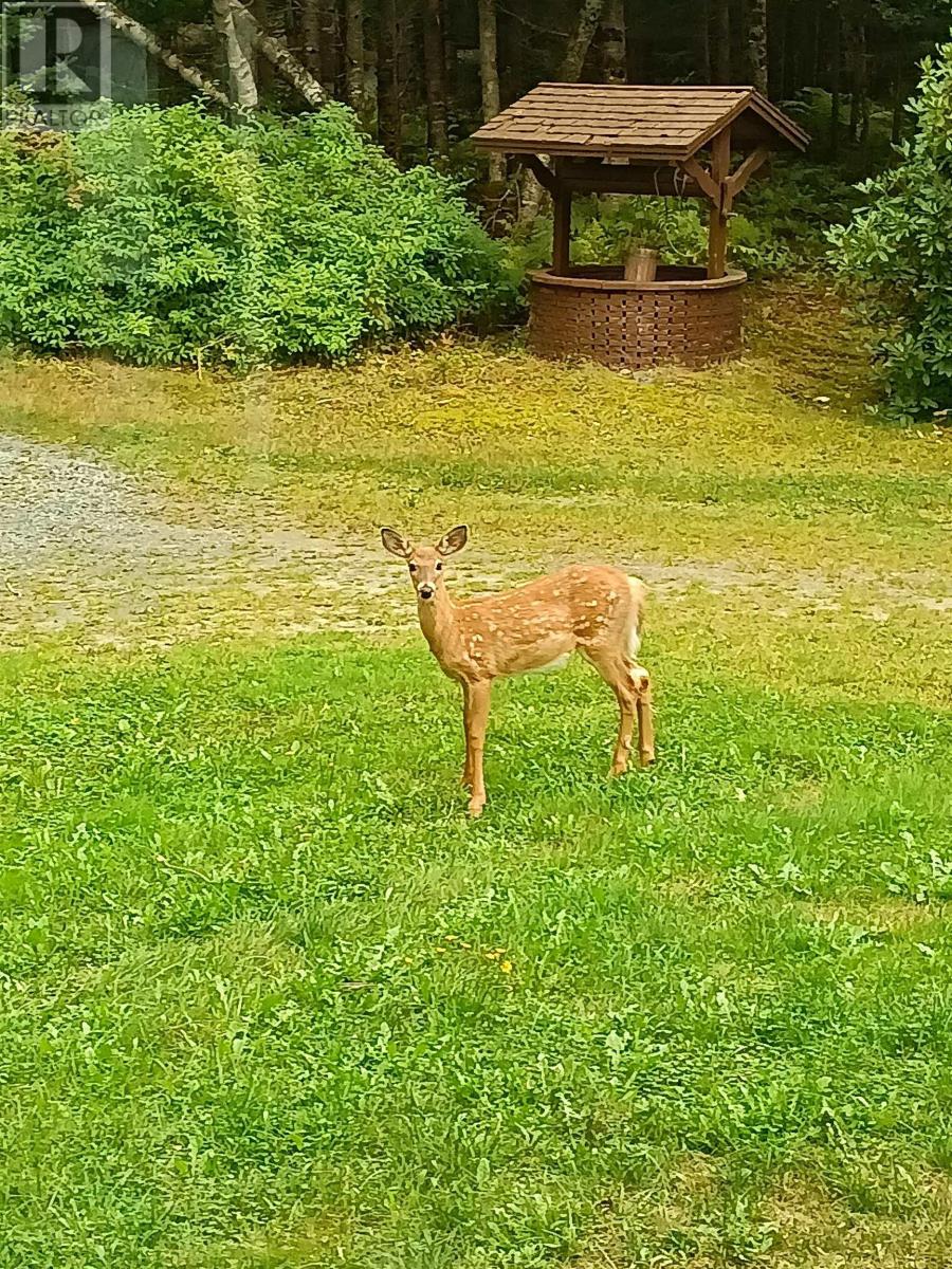 65 Shore Road, Mount Pleasant, Nova Scotia  B0T 1K0 - Photo 31 - 202525428