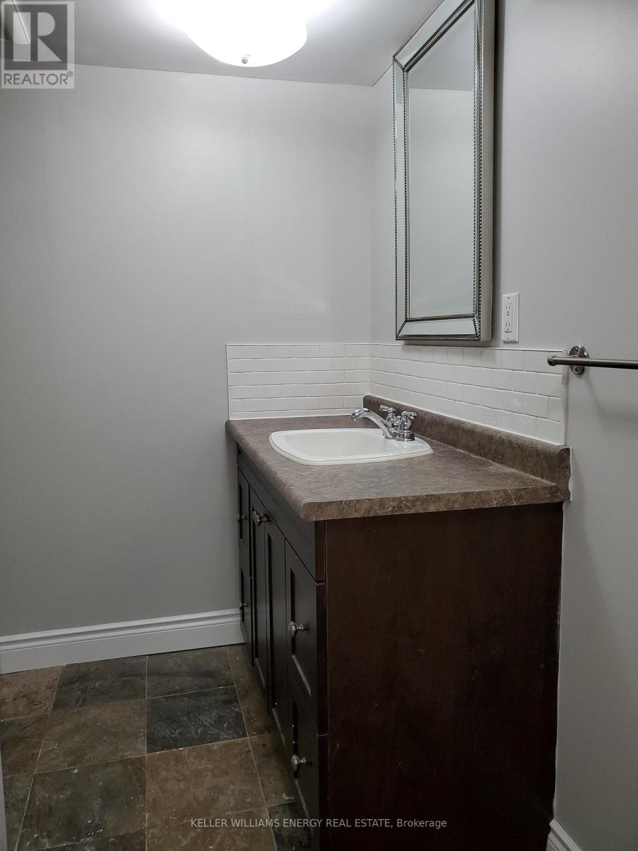 Lower - 1137 Norman Crescent, Oshawa (Donevan), Ontario  L1H 7W9 - Photo 10 - E12495338