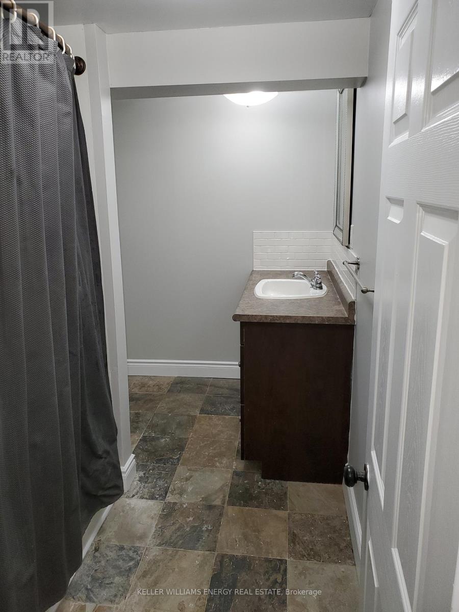 Lower - 1137 Norman Crescent, Oshawa (Donevan), Ontario  L1H 7W9 - Photo 11 - E12495338