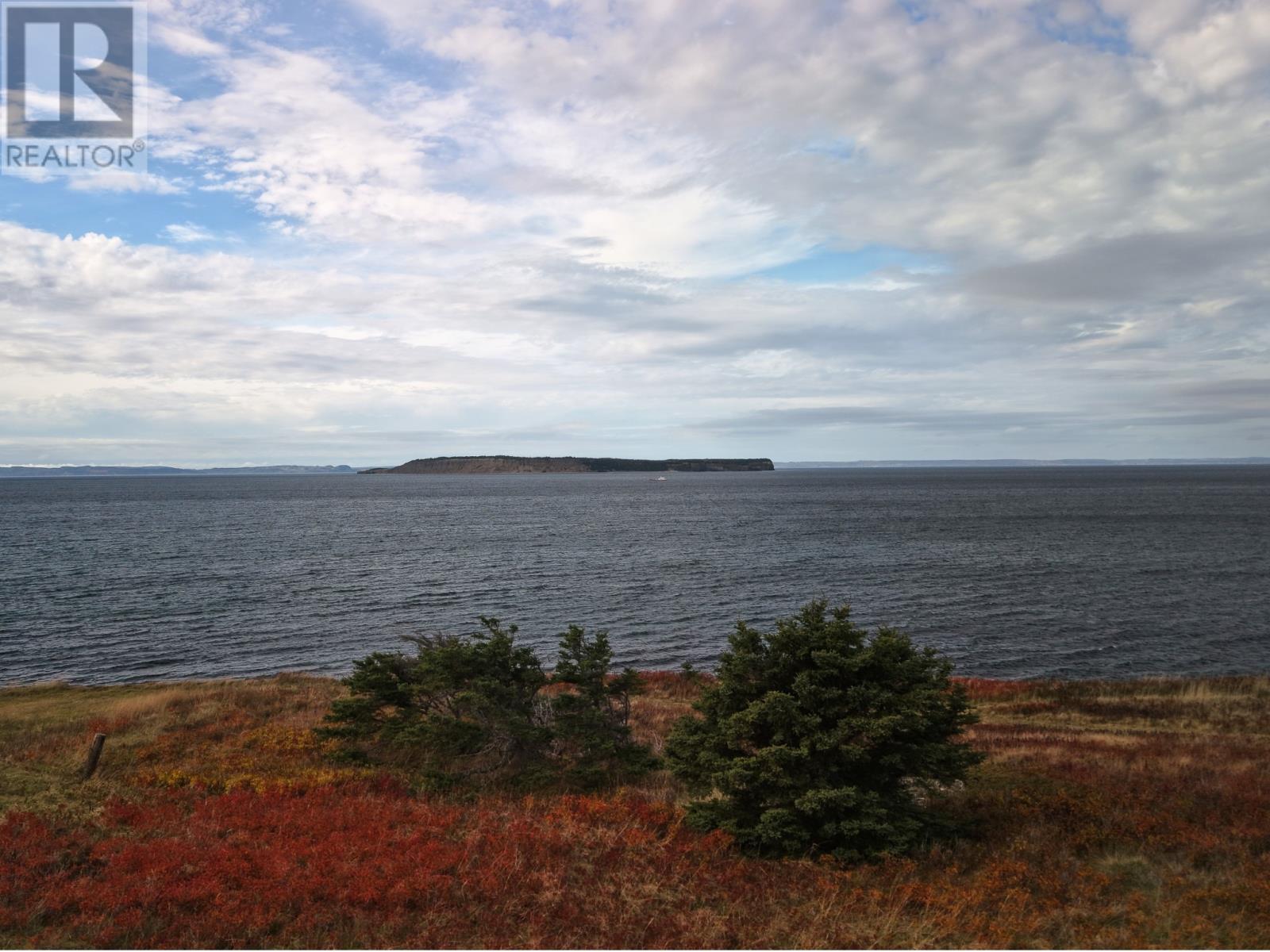 69 Flats Road, Conception Bay South, Newfoundland & Labrador  A1W 3C2 - Photo 6 - 1291709