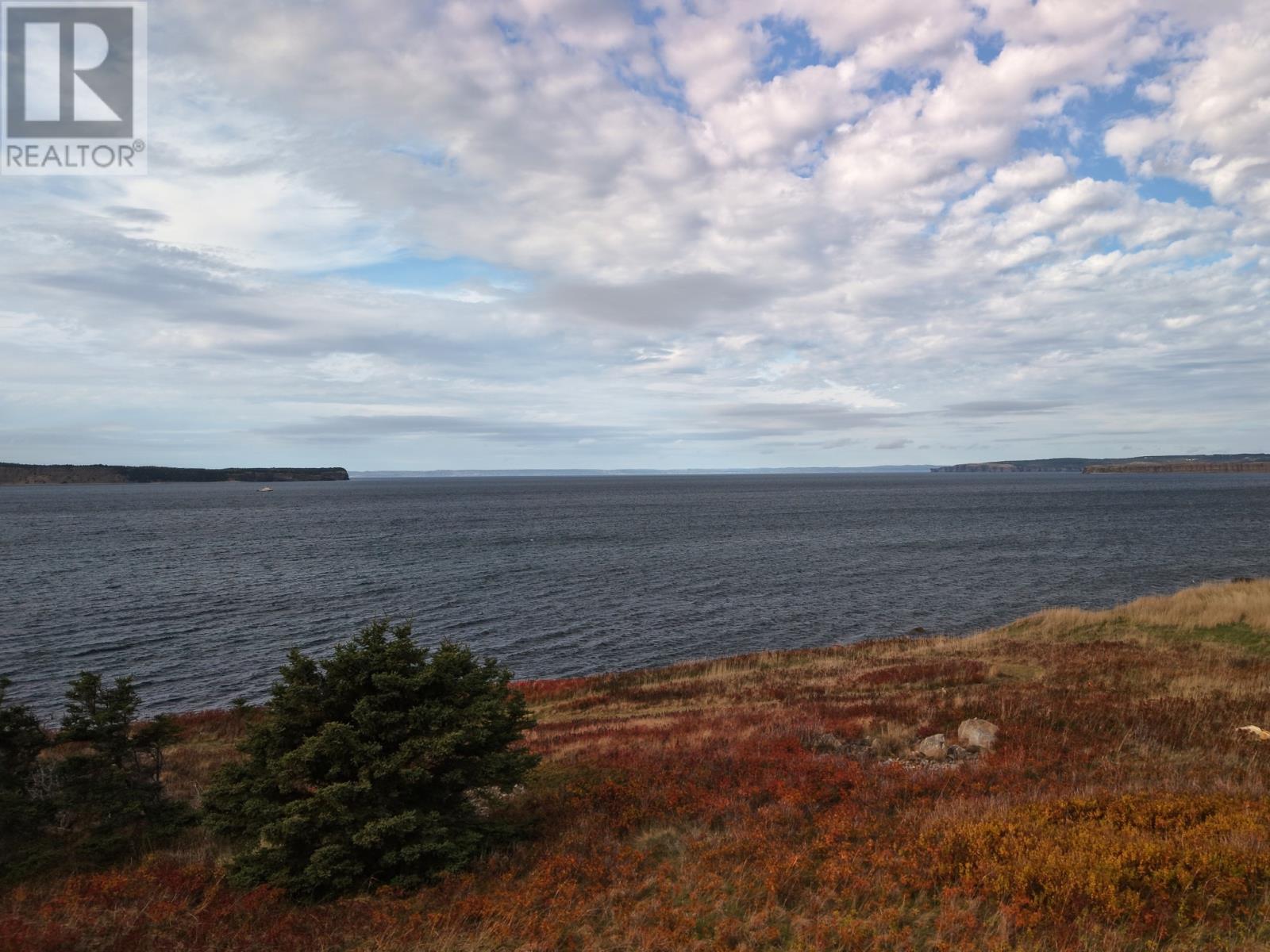 69 Flats Road, Conception Bay South, Newfoundland & Labrador  A1W 3C2 - Photo 7 - 1291709
