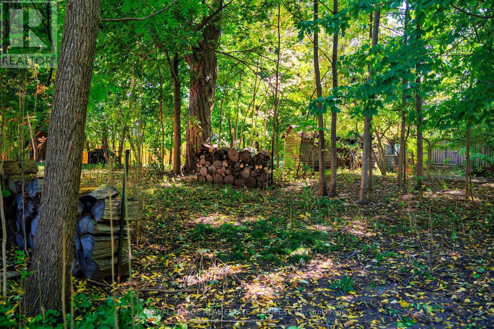 1506 Estes Crescent, Mississauga, Ontario  L5V 1M4 - Photo 15 - W12495032