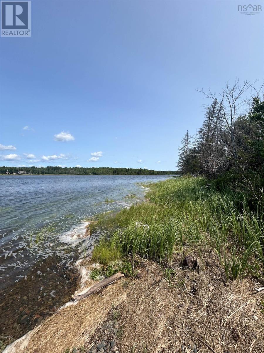 Lot 08-1 329 Chisholm Road, Conns Mills, Nova Scotia  B0K 1L0 - Photo 6 - 202501890