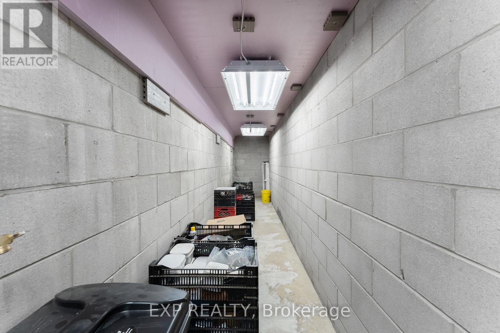 548 Millgrove Side Road, Hamilton (Dundas), Ontario  L9H 5E2 - Photo 45 - X12495106