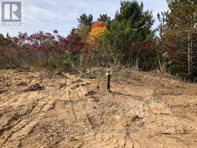 1380 Westport Road, Frontenac (Frontenac South), Ontario  K0H 1T0 - Photo 3 - X12495610