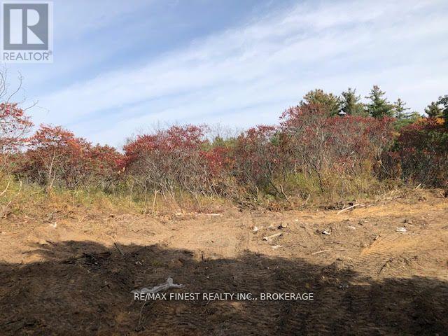 1380 Westport Road, Frontenac (Frontenac South), Ontario  K0H 1T0 - Photo 4 - X12495610