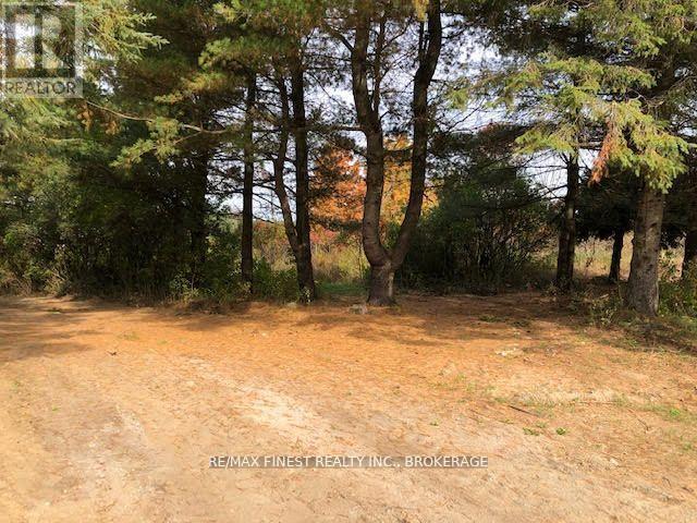 1380 Westport Road, Frontenac (Frontenac South), Ontario  K0H 1T0 - Photo 7 - X12495610