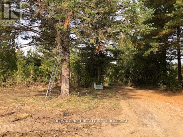 1380 Westport Road, Frontenac (Frontenac South), Ontario  K0H 1T0 - Photo 8 - X12495610