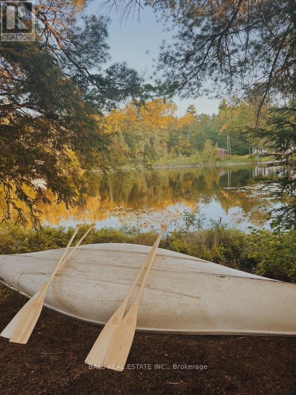 260 Island 26, Trent Lakes, Ontario  K0L 1J0 - Photo 30 - X12371730
