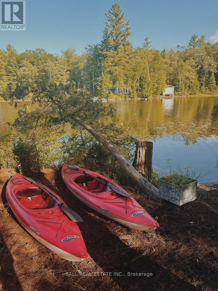 260 Island 26, Trent Lakes, Ontario  K0L 1J0 - Photo 31 - X12371730