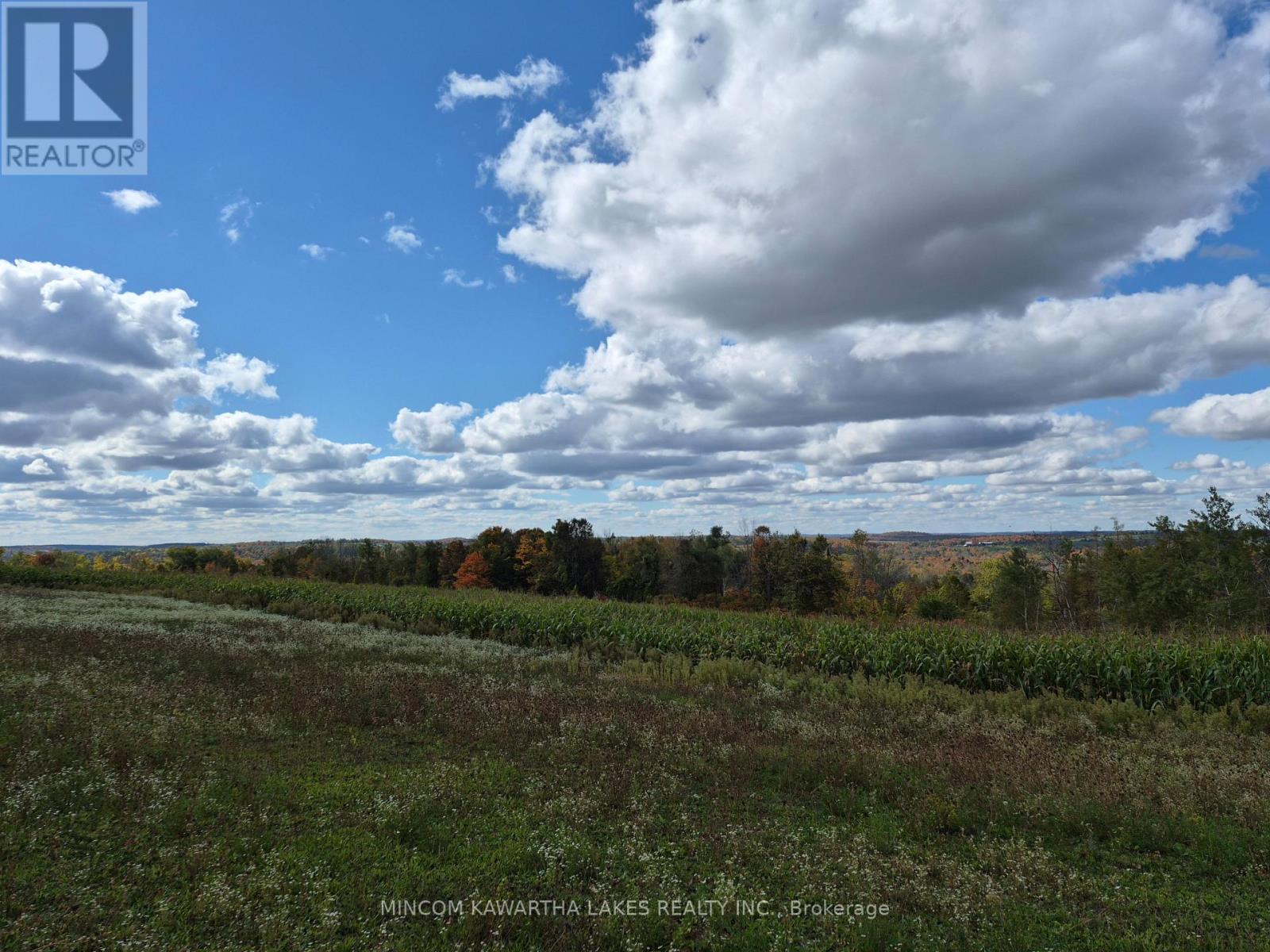 Pl 15 Base Line, Otonabee-South Monaghan, Ontario  K0L 2G0 - Photo 2 - X12495428