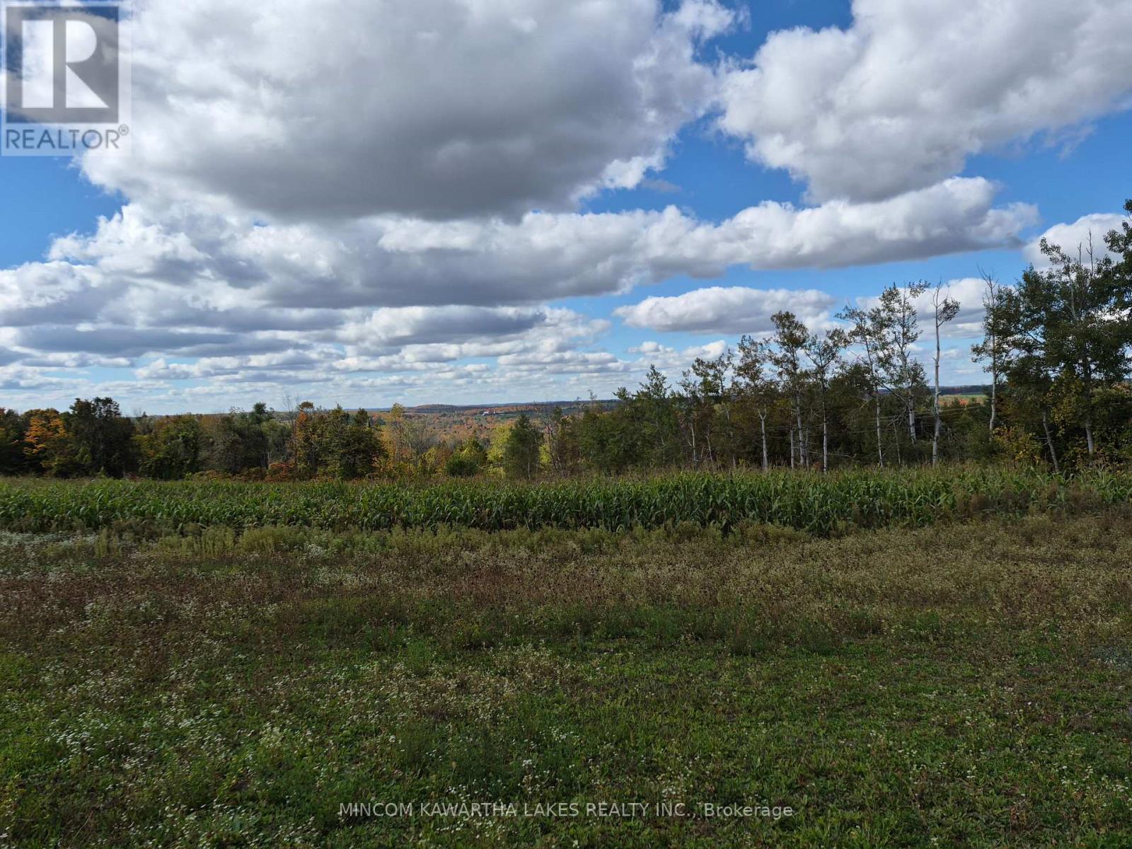Pl 15 Base Line, Otonabee-South Monaghan, Ontario  K0L 2G0 - Photo 3 - X12495428