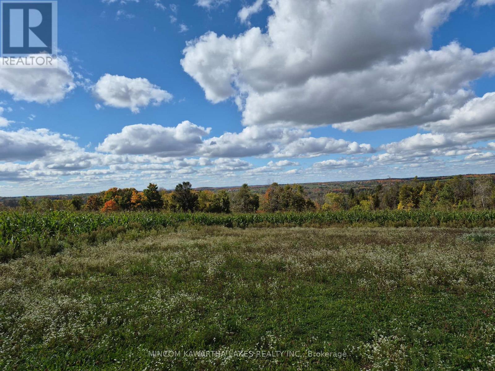 Pl 15 Base Line, Otonabee-South Monaghan, Ontario  K0L 2G0 - Photo 5 - X12495428