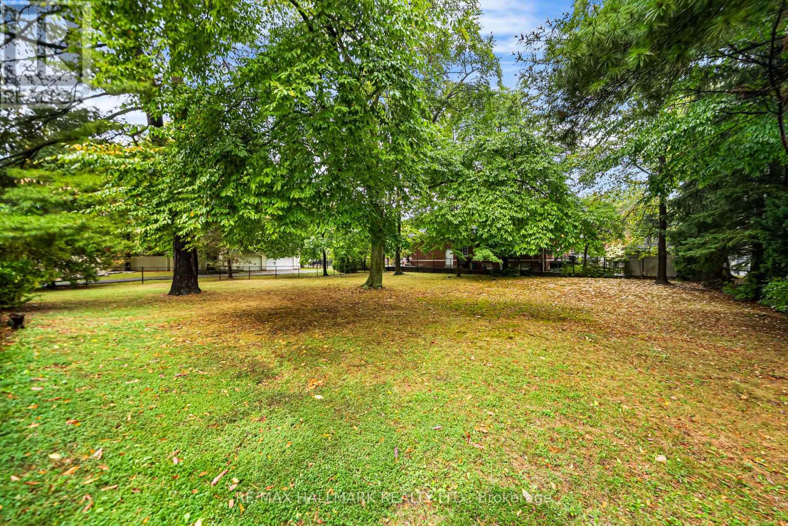 344 Spring Garden Avenue, Toronto, Ontario  M2N 3H5 - Photo 36 - C12495564