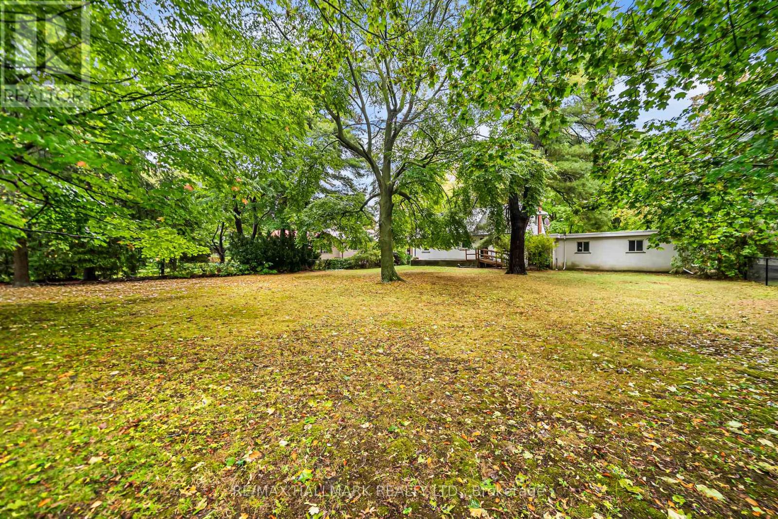 344 Spring Garden Avenue, Toronto, Ontario  M2N 3H5 - Photo 37 - C12495564