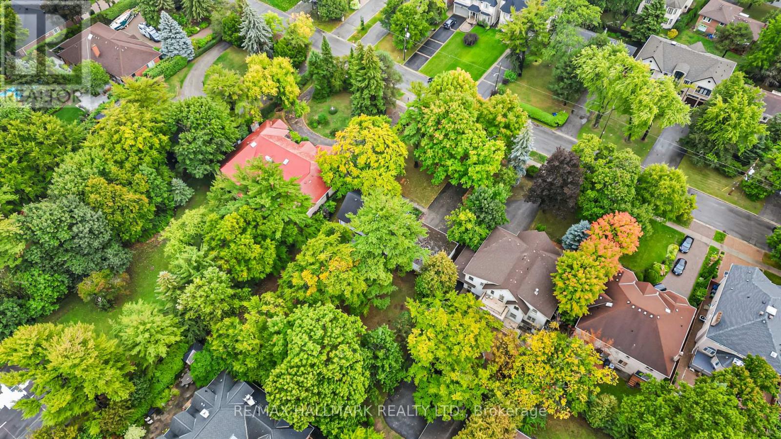 344 Spring Garden Avenue, Toronto, Ontario  M2N 3H5 - Photo 42 - C12495564